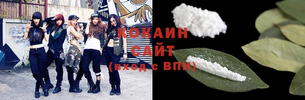 спиды Каменногорск