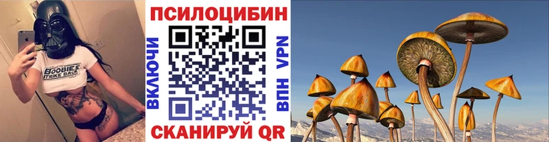 Галлюциногенные грибы MAGIC MUSHROOMS  как найти закладки  Почеп 